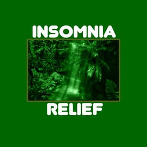 Sounds of Rain : Insomnia Relief - Tranquil Music Sound of Nature