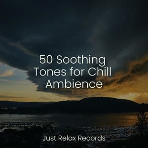 50 Soothing Tones for Chill Ambience - Sleep Baby Sleep