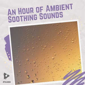 An Hour of Ambient Soothing Sounds - #Calming
