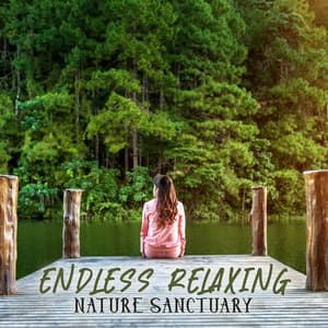 Endless Relaxing Soothing Airflow Sanctuary - Giulia Tylor
