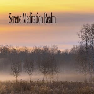 Serene Meditation Realm - Música Relajante