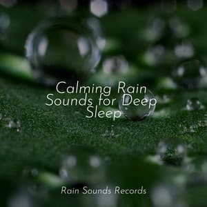 Calming Rain Sounds for Deep Sleep - Relaxed Minds