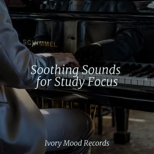 Soothing Sounds for Study Focus - Ivory Mood