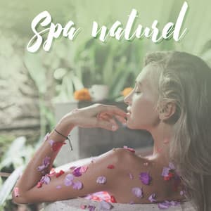Spa naturel avec musique: Sons de nature relaxants pour retrouver une pleine santé - Zen Matin Groupe