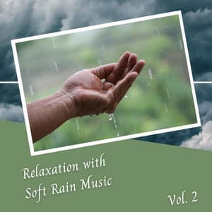 Relaxation with Soft Rain Music Vol. 2 - Music for Calming Dogs