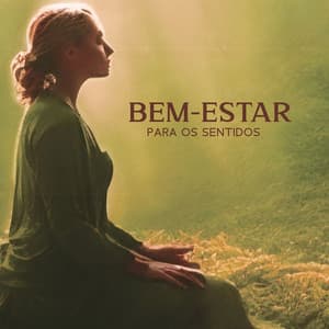 Bem-Estar para os Sentidos: Música para Tratamentos de Beleza em Spa, Sessões de Aromaterapia, Relaxamento Profundo e Alívio do Estresse - Academia de Música para Massagem Relaxamento