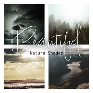 Beautiful Nature Shades: Sea, Forest, Storm, River - Relaxing Nature Sounds Collection