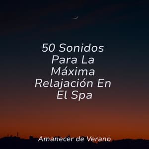 50 Sonidos Para La Máxima Relajación En El Spa - Meditación Interna