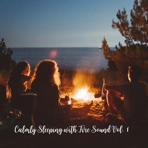 Calmly Sleeping with Fire Sound Vol. 1 - Sounds of Nature Relaxation