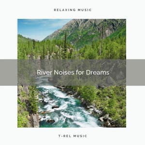 ! ! ! ! ! River Noises for Dreams - Rivers and Streams