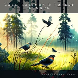 Calm Kalimba & Forest Sounds - Everyday New Music