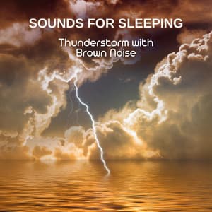 Sounds for Sleeping: Thunderstorm with Brown Noise, Loopable - Nature Sounds Artists