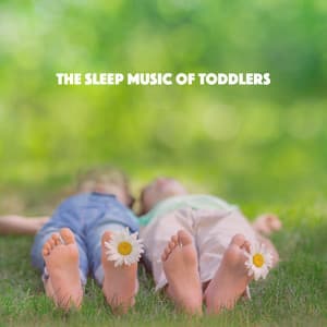The Sleep Music of Toddlers - Baby Lullaby