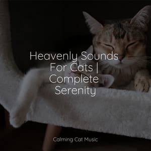 Heavenly Sounds For Cats | Complete Serenity - Music for Resting Cats