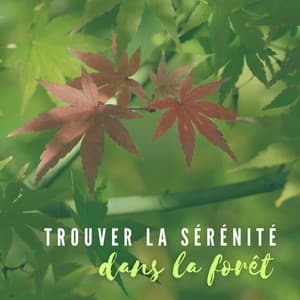 Trouver la sérénité dans la forêt – Musique antistress calmante pour la guérison, Sons thérapeutiques, Embrasser la nature - Nature Académie