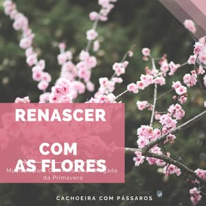 Renascer com as Flores - Músicas para Comemorar a Chegada da Primavera, Som da Natureza Viva, Cachoeira com Pássaros - Beatriz Natureza Flores