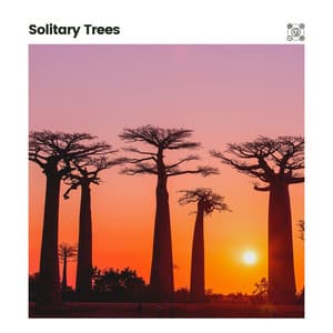 Solitary Trees - Weather Sounds