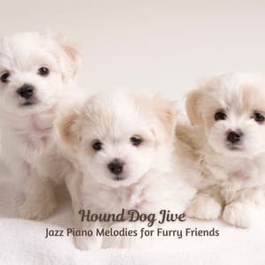 Hound Dog Jive: Jazz Piano Melodies for Furry Friends - Breakfast Jazz Lounge