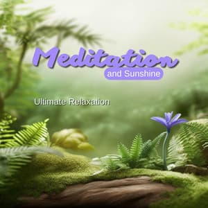 Meditation and Sunshine: Ultimate Relaxation - Summer Meditation