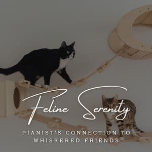 Piano Feline Serenity: Tranquil Melodies for Cats - Sad Piano Man