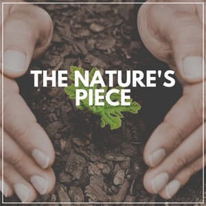The Nature's Piece - Forest Soundscapes