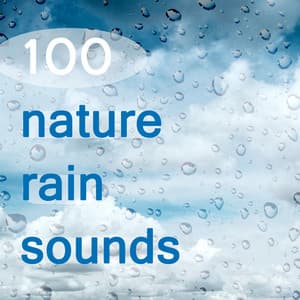 100 Nature Rain Sounds and Ambient Sounds for Relaxation - Rain relax
