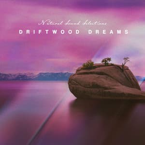 Driftwood Dreams - Natural Sound Selections