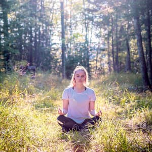 Meditation Melodies: Birds and Nature's Serene Journey - Nu Meditation Music