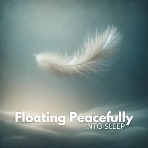 Soothing Slumber: Drifting Through Night in Calm Reverie - Insomnia Music Universe