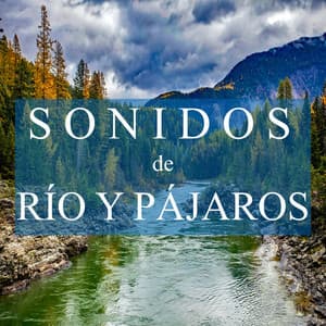 Sonidos del Rio y Pájaros - Musica para Estudiar Specialistas