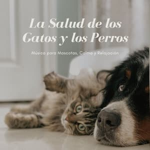 La Salud de los Gatos y los Perros: Música para Mascotas, Calma y Relajación - The Marcello Player