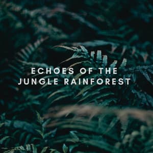 Echoes of the Jungle Rainforest - Natural Sounds Selections