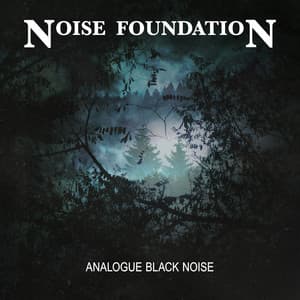 Analogue Black Noise - Noise Foundation