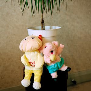 good day good day bad day bad day - Oliver Leith