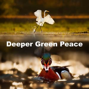 Deeper Green Peace - New Sounds Of Nature