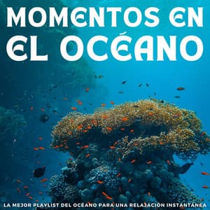 Momentos En El Océano: La Mejor Playlist Del Océano Para Una Relajación Instantánea - Los SubOceaners