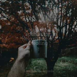 50 Loopable Rain Sounds for Relaxation & Healing - Nature Sounds Nature Music