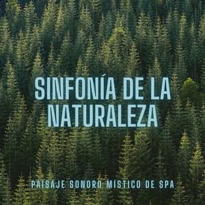 Sinfonía De La Naturaleza: Paisaje Sonoro Místico De Spa - Naturaleza FX
