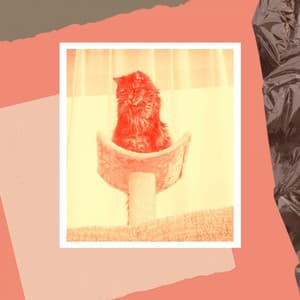 Tranquil Quartet Jazz - Background for Lush Kittens - Soothing Cat Music