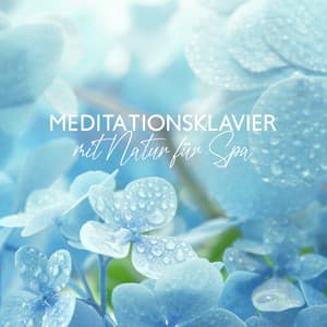 Meditationsklavier mit Natur für Spa - Schlafmusik Akademie