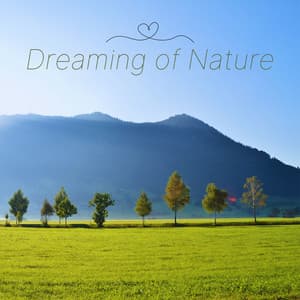 Dreaming of Nature: Soothing Music with Forest Sounds and Piano for Deep Sleep and Relaxation - Ambient Music Collective