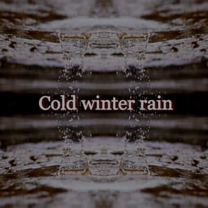 Cold Winter Rain - Lofi Hip-Hop Beats