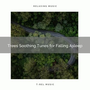2021 New: Trees Soothing Tunes for Falling Asleep - Sleep Songs 101
