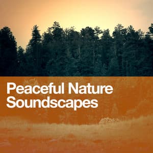 Peaceful Nature Soundscapes - Sounds Of Nature