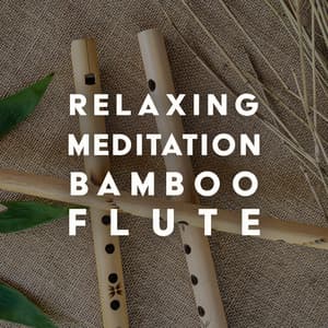 Relaxing Meditation Bamboo Flute - Eco Lyli