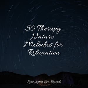 50 Therapy Nature Melodies for Relaxation - Ambientalism