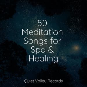 50 Meditation Songs for Spa & Healing - Relaxation Music Guru