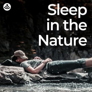 Sleep in the Nature - Weather and Nature Recordings