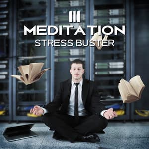 111 Meditation Stress Buster: Soothing Songs for Relax Body and Mind, Inner Peace, Mindfulness Meditation, Stress Management, Positive Thinking - Deep Meditation Music System
