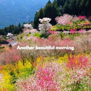 Another beautiful morning - Jazz Rilassante Primo